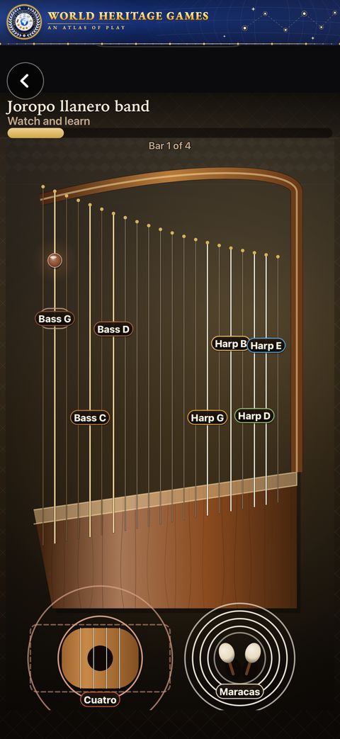 String Music of the World screenshot