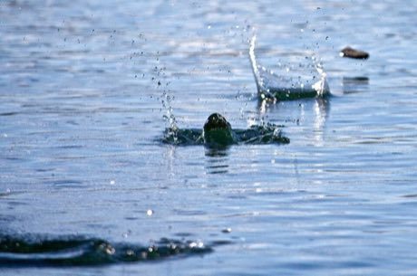 Stone Skipping: photograph by Killy Ridols