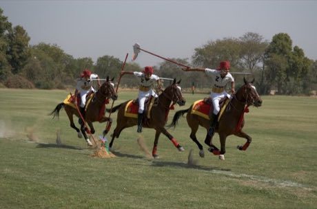 Tent pegging: photograph by Mike Bostock