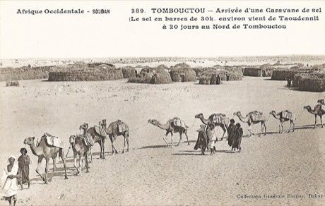 Sahel Salt Caravan: photograph by François-Edmond Fortier
