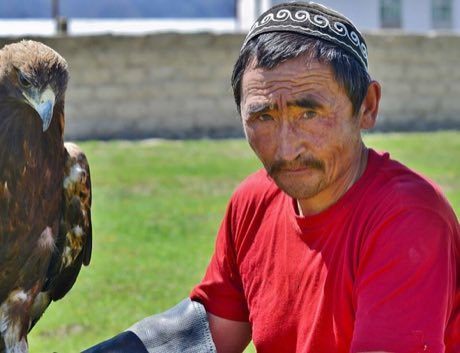 Steppe eagle hunting: photograph by Altaihunters