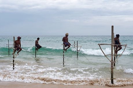 Stilt fishing: photograph by Jakub Hałun