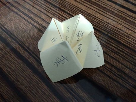 Paper Fortune Teller: photograph by Richard923888