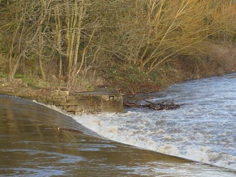 Bridge Stick Race: photograph by Stephen Craven