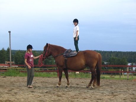Equestrian vaulting: photograph by Anneli Salo
