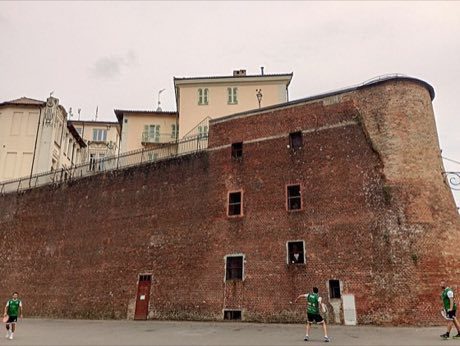 Tamburello: photograph by Jeanne Griffin