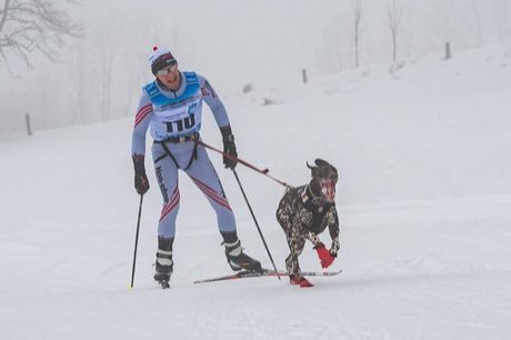 Skijoring: photograph by Isiwal