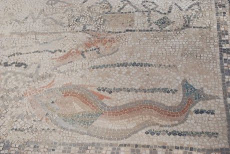 Tessellated Mosaic Making: photograph by FuriousYogi