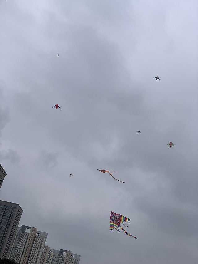 Kites: photograph by Slyronit