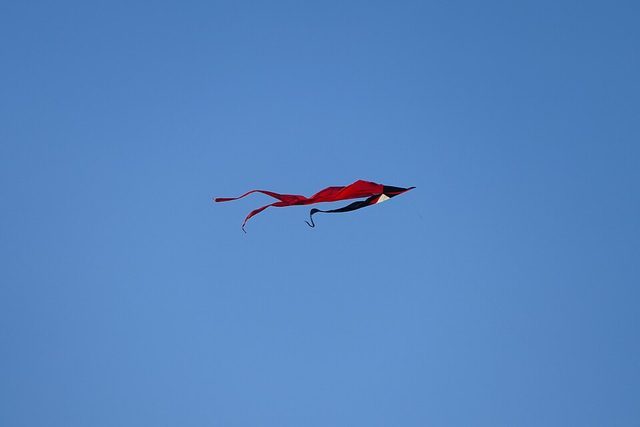 Kite flying: photograph by Kritzolina