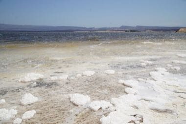 Lake Assal salt harvest: photograph by Mheidegger