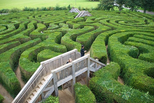 Maze: photograph by Niki Odolphie from Frome, England