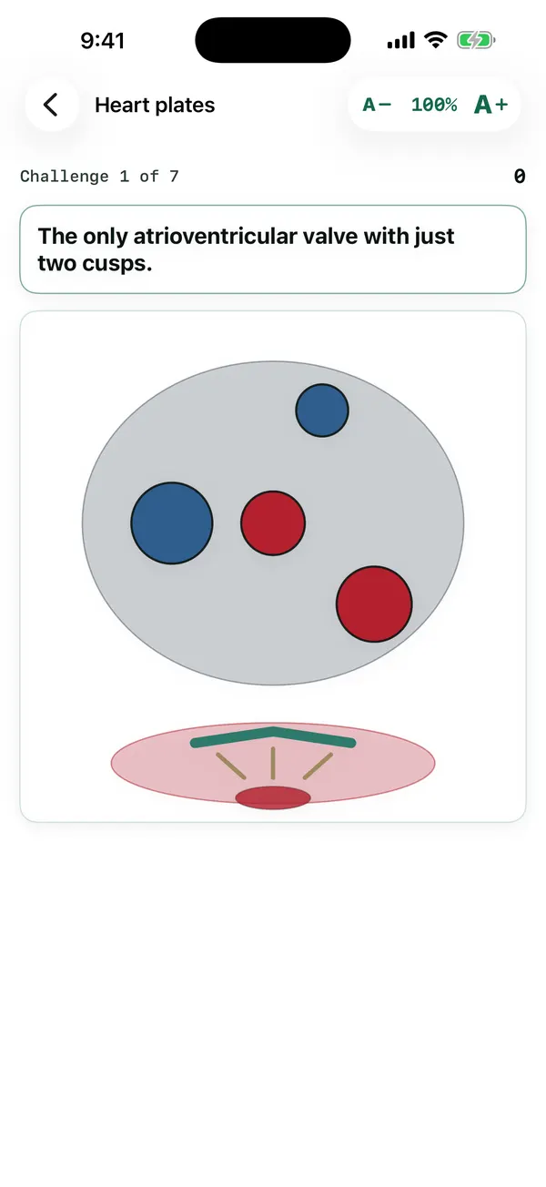Heart Plates: a schematic heart plate with a question about a structure.